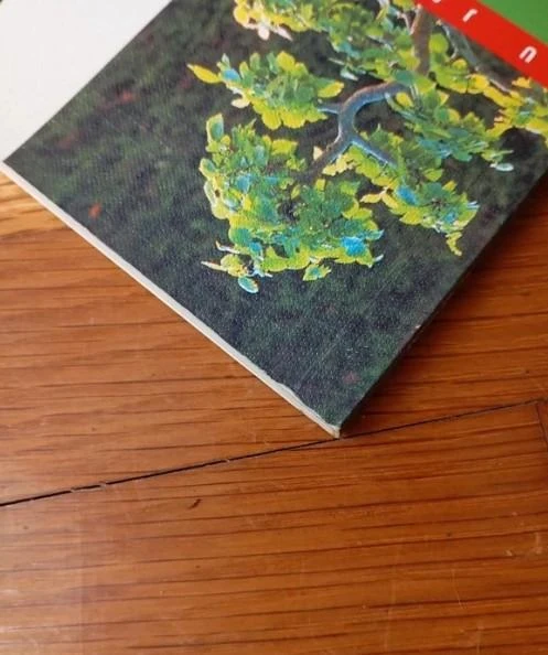 Practical guide book on bonsais – photo 4